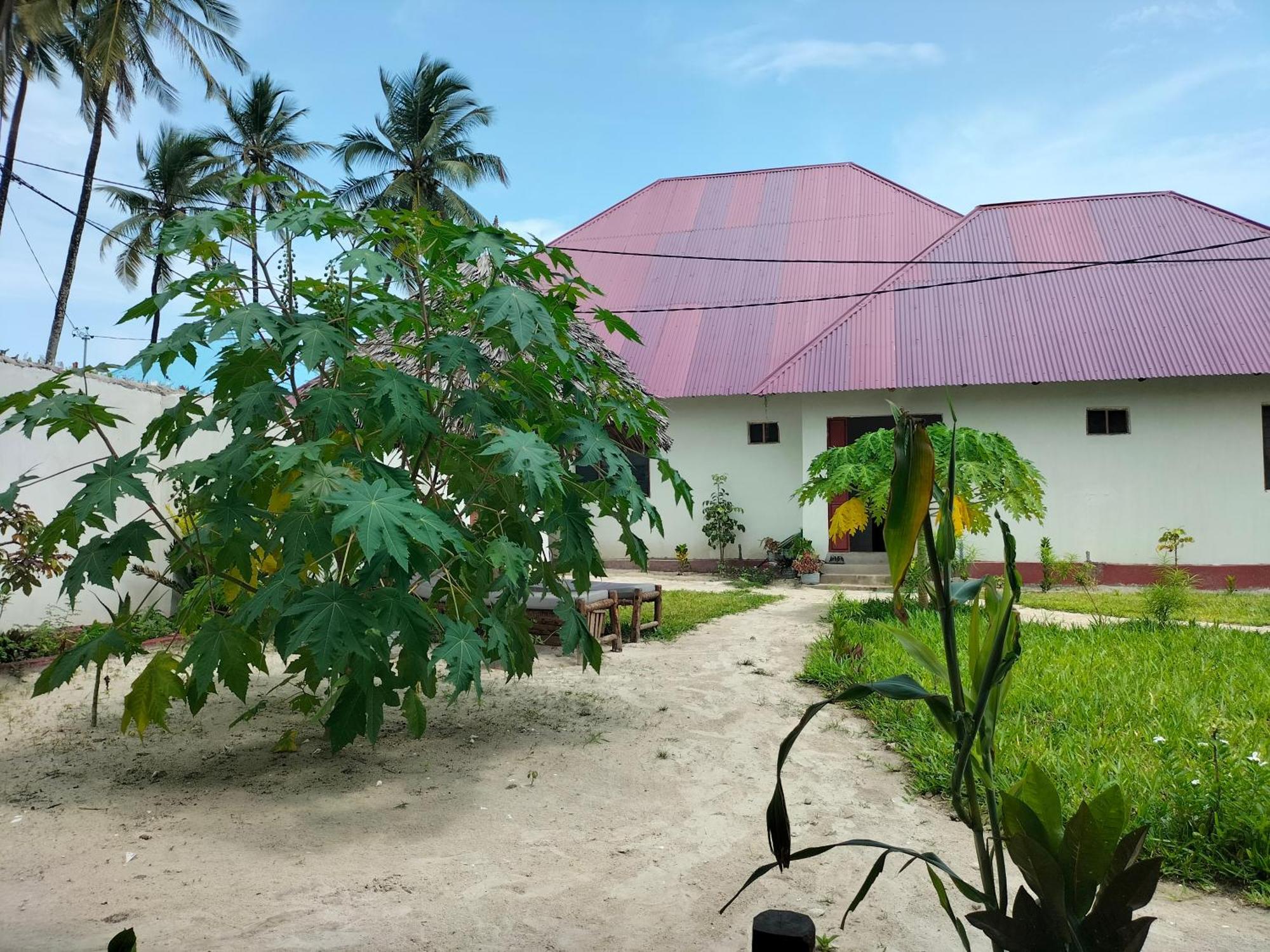 Mambo Leo Hostel Паже Екстериор снимка